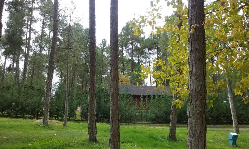 Camping Caravaning Cuenca Exterior foto
