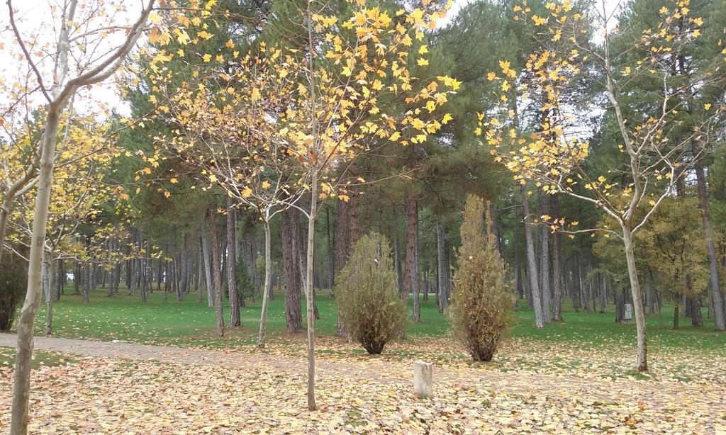 Camping Caravaning Cuenca Exterior foto